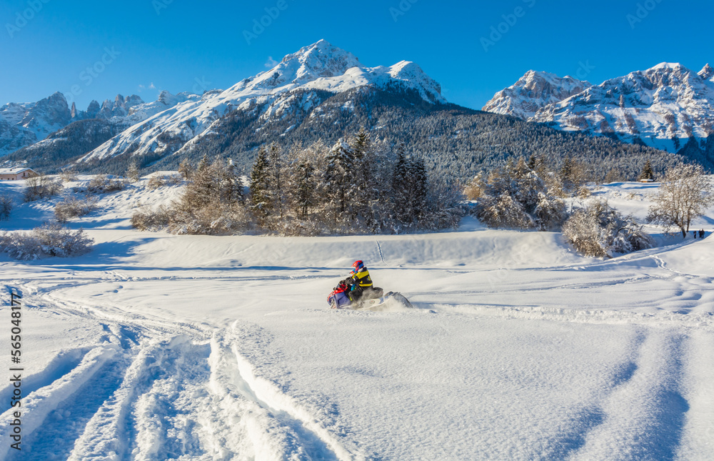 Man on snowmobile in snowy landscape -the Adamello Brenta Natural Park, Trentino Alto Adige, northern Italy, Europe