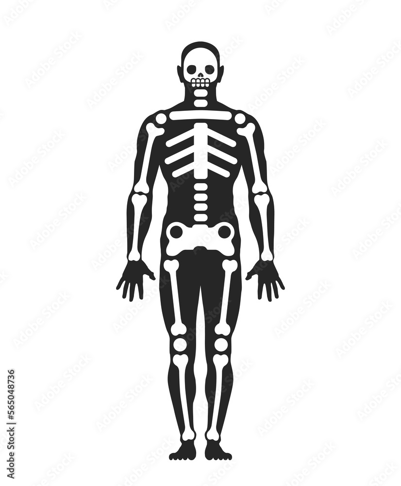 Human figure (men body silhouette), stylized diagram of the human skeleton. Or an vector icon that means 