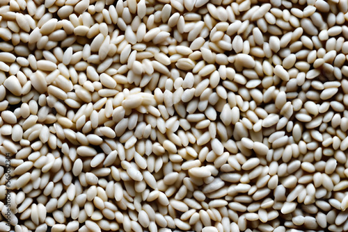 close up of a pile of grains
