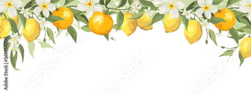 Summer banner with jasmine flowers and citrus branch. Vector illustration, narrow background with flowers, oranges and lemons.