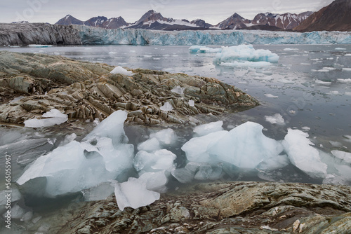 Calved icebergs fill the forebay of Hansbreen, Hornsund, Svalbard. photo