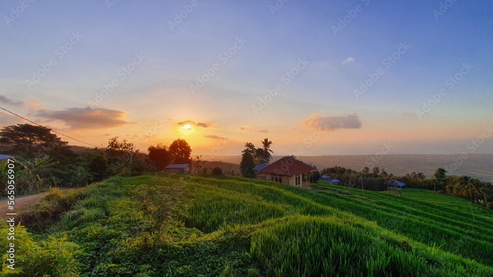 sunset over the countryside