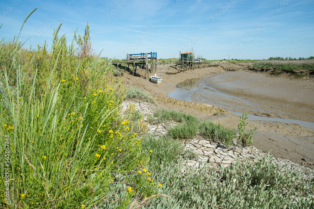 Intertidal salt marsh at low tide in Charente-Maritime, France on Atlantic ocean coastline Intertidal salt marsh at low tide in Charente-Maritime, France on Atlantic ocean coastline