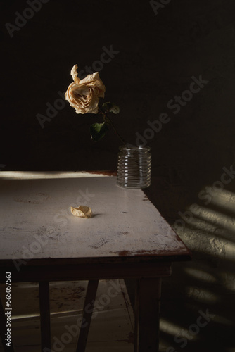 Still life with dried rose in a vase standing on the edge of the table photo