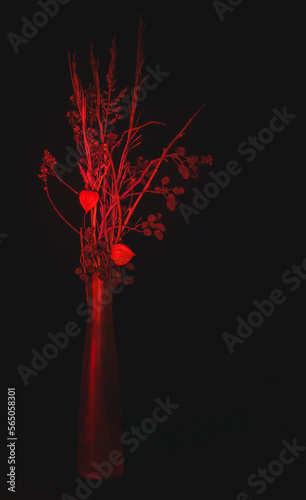 Red Bouquet of Dried Flowers in a Vase on a Black Background