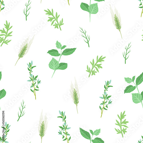 Botanical background. Vector seamless pattern with green leaves  twigs and ears on white. Cartoon illustration of wild meadow herbs.
