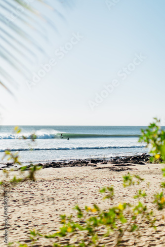 Surf