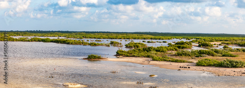Insel Cozumel auf der mexikanischen Halbinsel Yucatan. Im Nationalpark Punta Sur, Mangroven im Naturschutzgebiet ein Panorama.