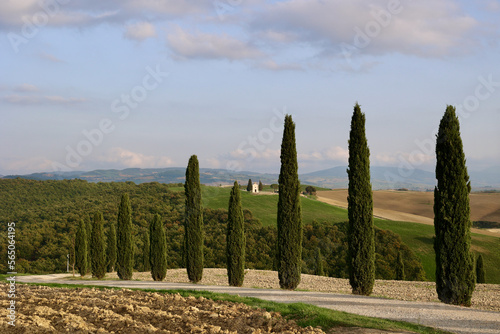 Chapel Vitaleta. Tiny  secluded chapel framed by cypress trees with striking views of the surrounding countryside. San Quirico d Orcia  Province of Siena  Italy.