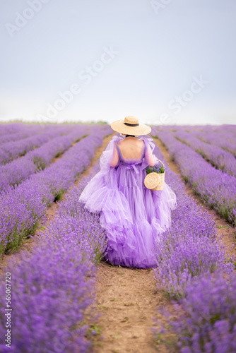 woman in a lilac long fluffy dress walks in a field of lavender. In the hands of a basket with flowers and a wicker hat on his head. Photo from the back.