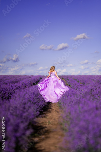 Fototapeta Naklejka Na Ścianę i Meble -  woman  in a long dress runs in a lavender field.  Photo from the back..