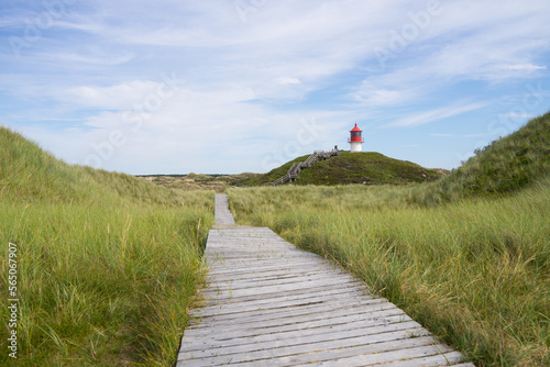 Fototapeta Naklejka Na Ścianę i Meble -  Wooden walkway to a little lighthouse between the dunes of Amrum