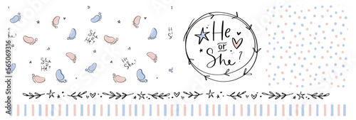 Gender reveal party decoration set with seamless patterns, borders, he or she sign in simple wreath. Pink and blue soft colors vector design.