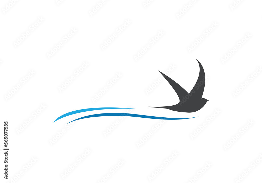 this is bird logo design this is bird logo design