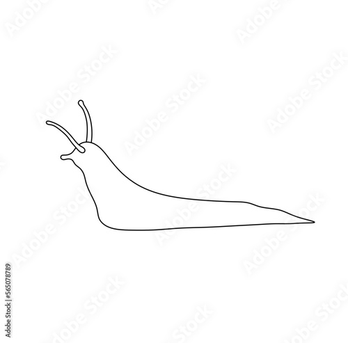 Vector isolated one single long crawling slug snail without shell with horns side view colorless black and white contour line easy drawing
