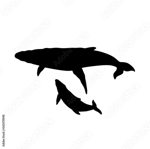 Vector isolated two whales big whale and baby whale mother and baby pair colorless black and white outline silhouette shadow shape stencil
