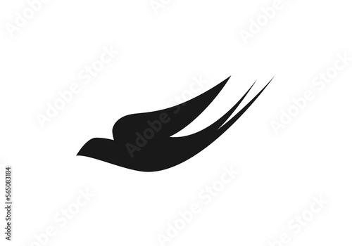 this is bird logo design