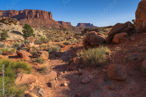 hiking the murphy trail loop in the island in the sky in canyonlands national park, usa