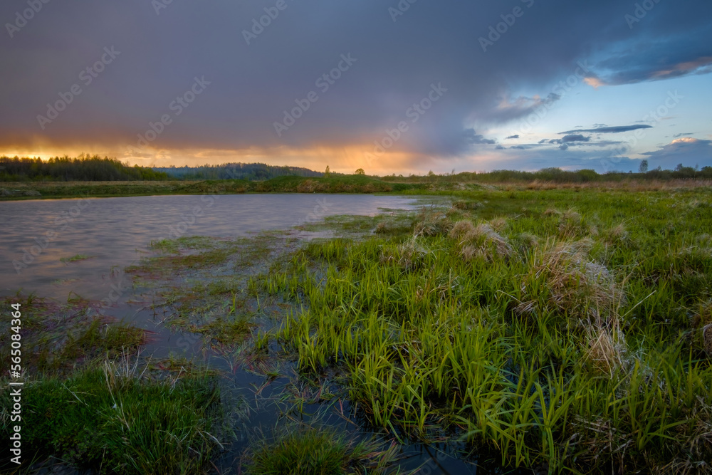 sunset over swamp