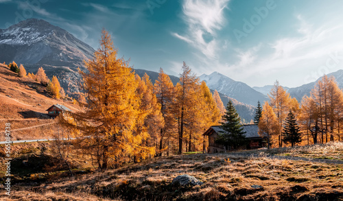 amazing sunny morning scene of nature. Scenic fautumn landscape during sunset. Impressive nature scenery in alps. Atmospheric colorful landscape with colorful trees and mountain under sunlit. postcard