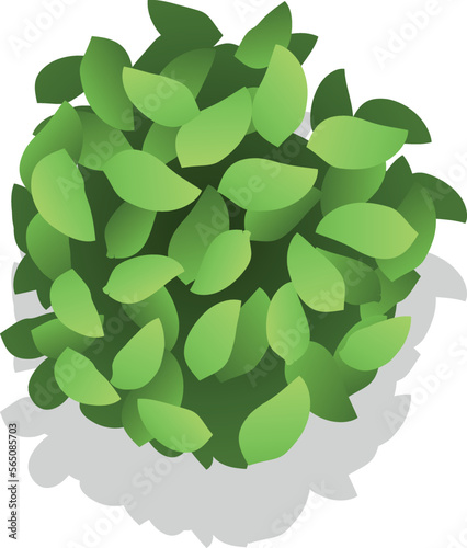 Green bush top view. Natural leaves plant