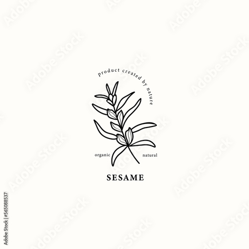 Line art sesame plant illustration
