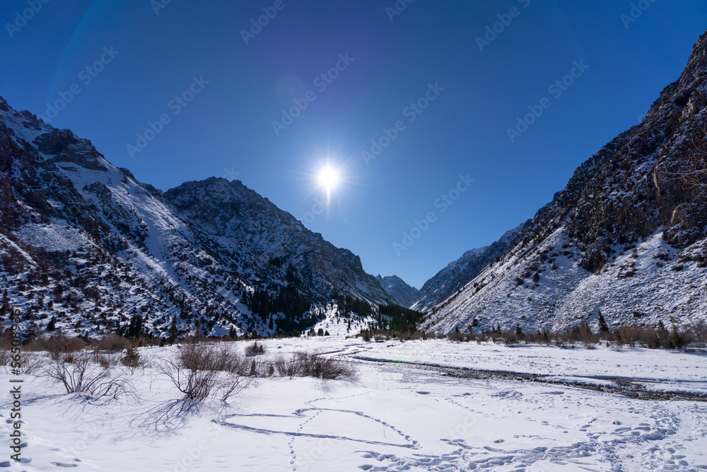 Winter mountain landscape and fir trees