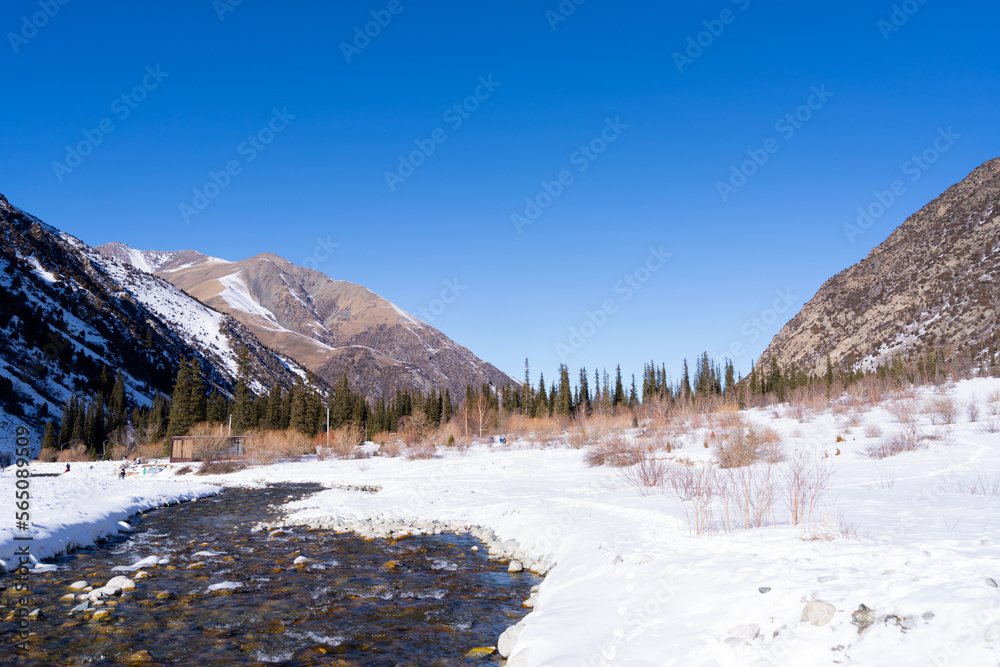 Winter mountain landscape and fir trees