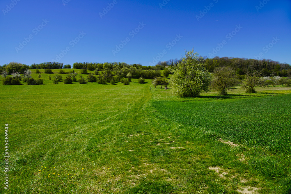 Schönes Wegstück auf dem Premiumwanderweg Schönes Wegstück auf dem Premiumwanderweg