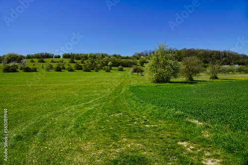 Sch  nes Wegst  ck auf dem Premiumwanderweg  Der Gisinger   im Saargau  Saarland