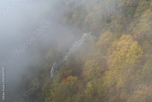 Rock surrounded with forest in autumn colors on mountain slope, fall season in mountains © slobodan