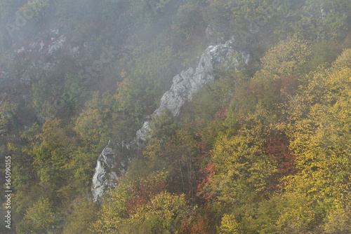 Rock surrounded with forest in autumn colors on mountain slope, fall season in mountains