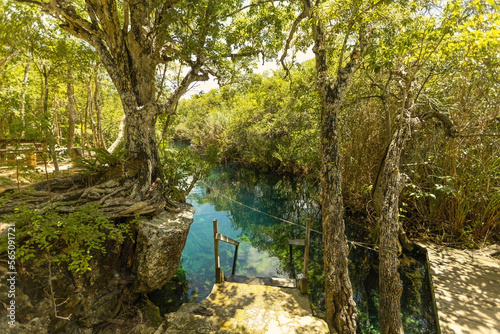 Amazing turquoise water cenote at casa Tortuga in Tulum, Mexican cenote natural beauty, Tulum, Mexico