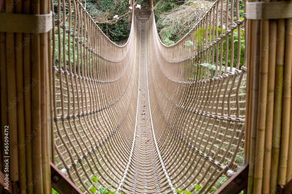 Looking along suspended rope bridge across a wooded valley