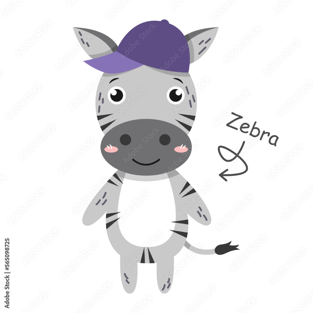 Zebra cartoon characters with clothes . Vector .