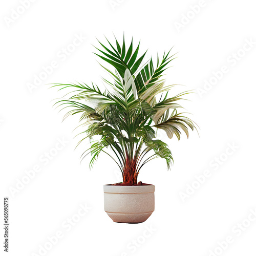 Palm tree isolated on white and transparent background. Generative AI