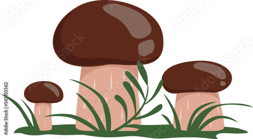 Yellow boletus growing. Cartoon forest nature element