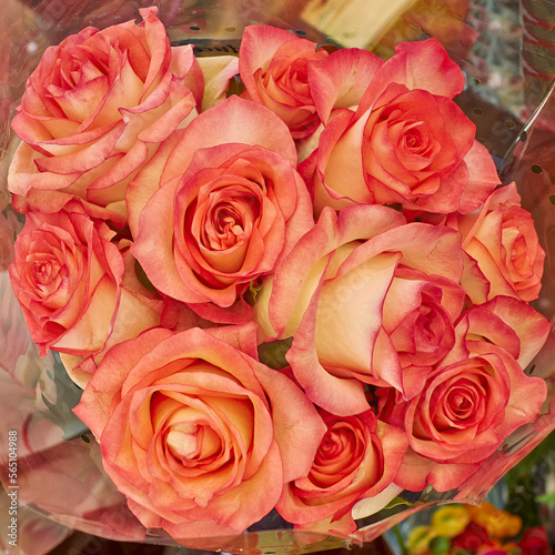 Vibrant orange roses bouquet top view close-up. Lovely  romantic natural pattern.