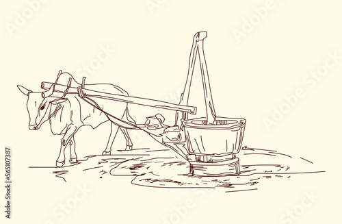 Organic Wood Pressed Edible Oil vector line illustrations
