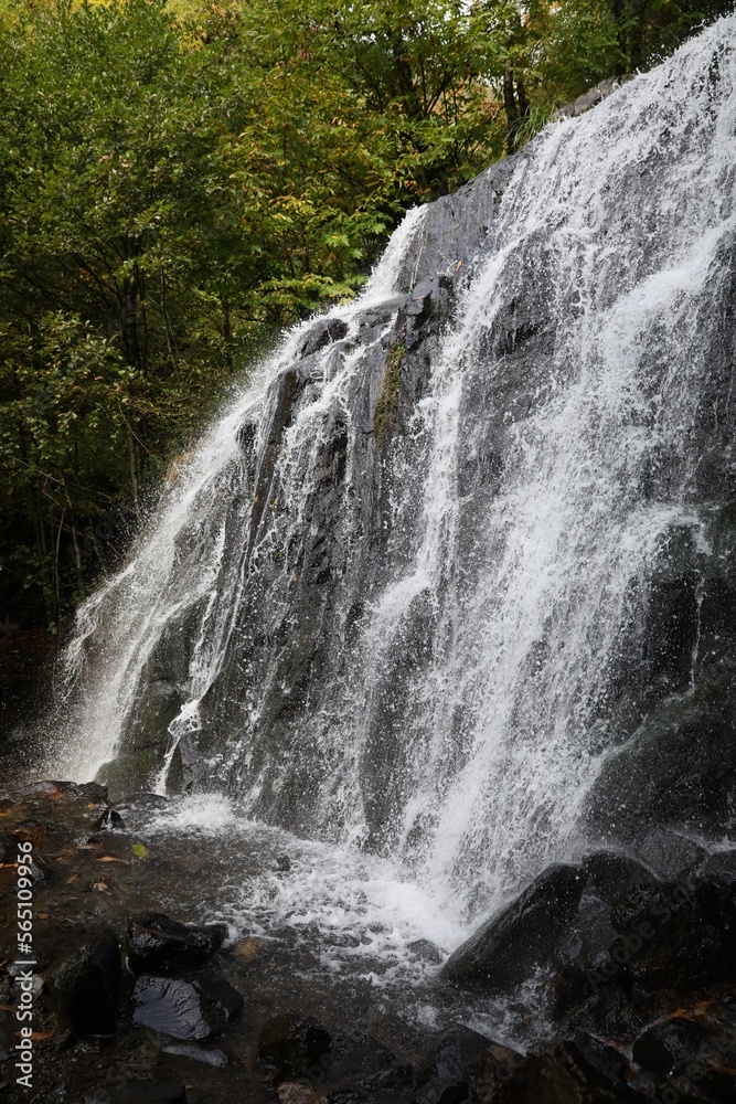 Picturesque view of small waterfall in forest