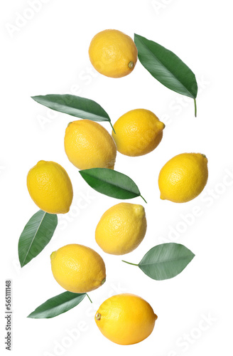 Fresh ripe lemons and green leaves falling on white background