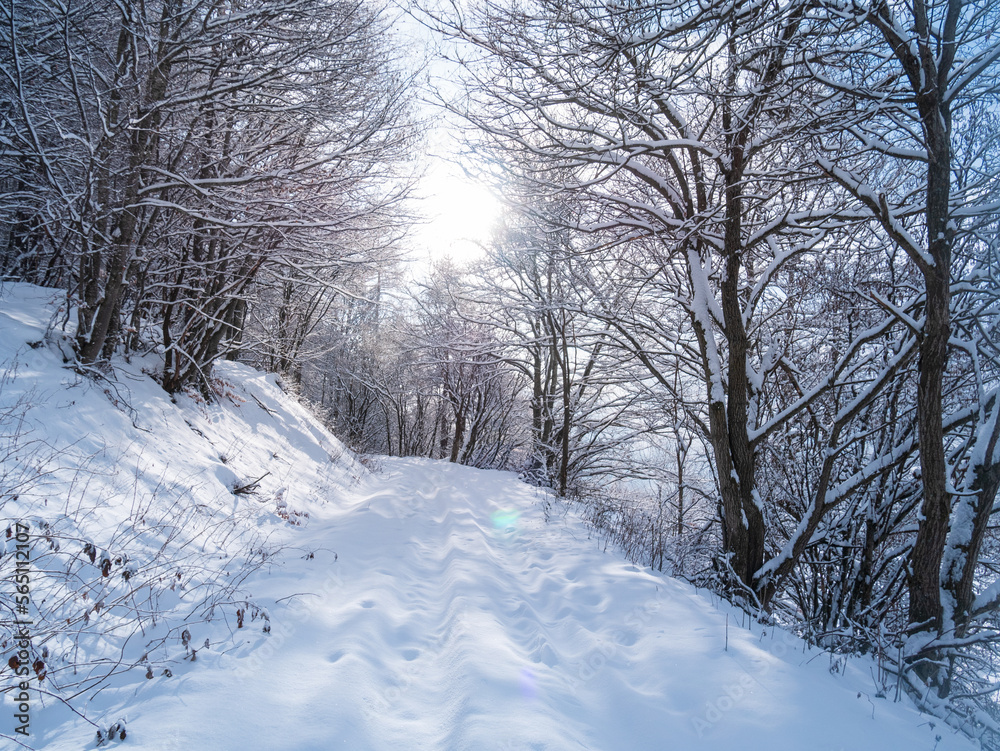 Snow in the italian Alps. Beautiful view of idyllic village in snowy forest and snowcapped mountain peaks. Piedmont, Italy. Snow in the italian Alps. Beautiful view of idyllic village in snowy forest and snowcapped mountain peaks. Piedmont, Italy.