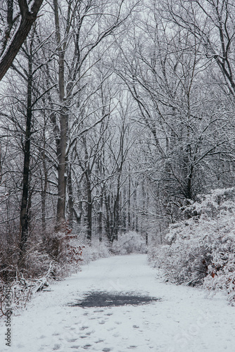 Penn Yan Outlet Trail © Riley Earl Films