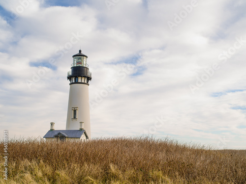 On a high hilly shore  a lighthouse against a cloudy sky. Brown withered grass grows around. There are no people in the photo. Beautiful landscape  romantic place. There is free space to insert.