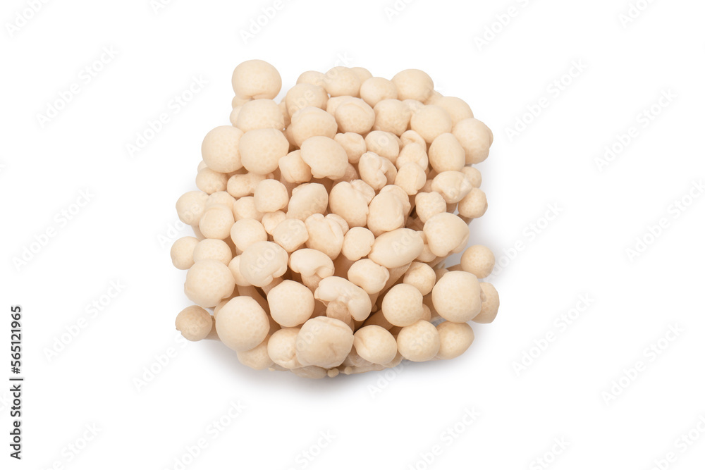 White beech mushrooms isolated on a white background. White beech mushrooms isolated on a white background.
