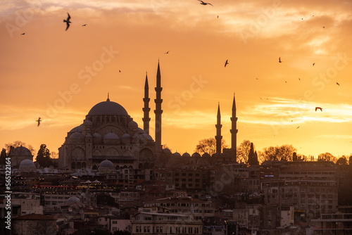 Istanbul, Turkey, January, 14 2023, Mosques on the skyline of Istanbul, Turkey photo