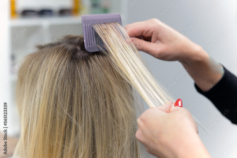 Fototapeta premium hairdresser cuts to woman in the salon. close-up.concept of beauty and beauty sphere