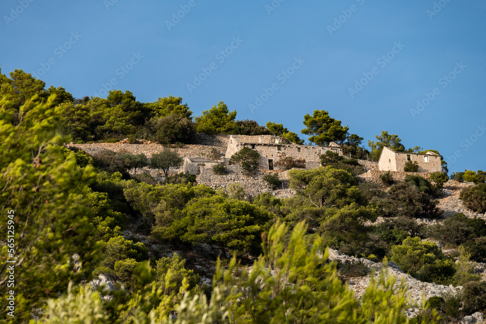 Old, ruined, stone houses built on the steep slopes of Brac island hills, hidden by pine trees and lit by summer sun under the clear, blue sky.