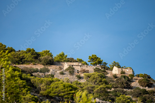 old, ruined, stone houses built on the steep slopes of Brac island hills, hidden by pine trees and lit by summer sun under the clear, blue sky.