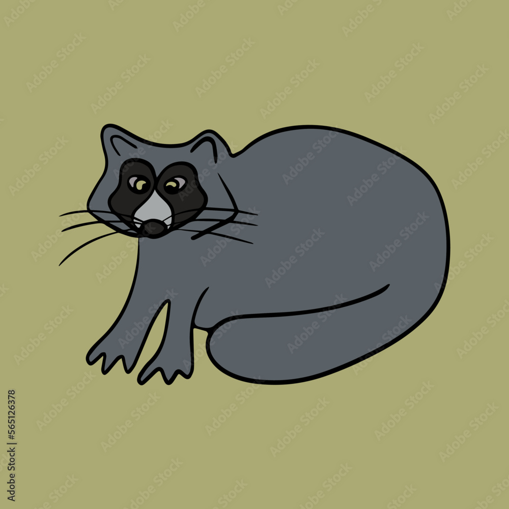 Vector isolated illustration of a raccoon with outline.